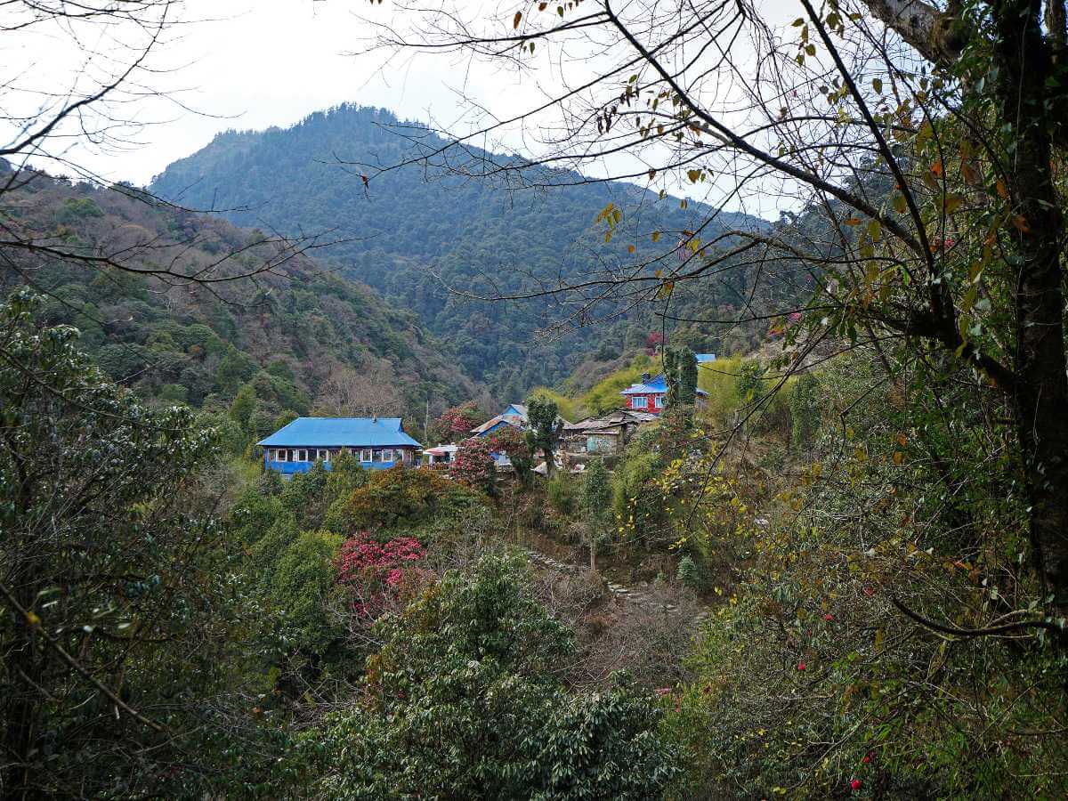 Ghorepani y Poon Hill