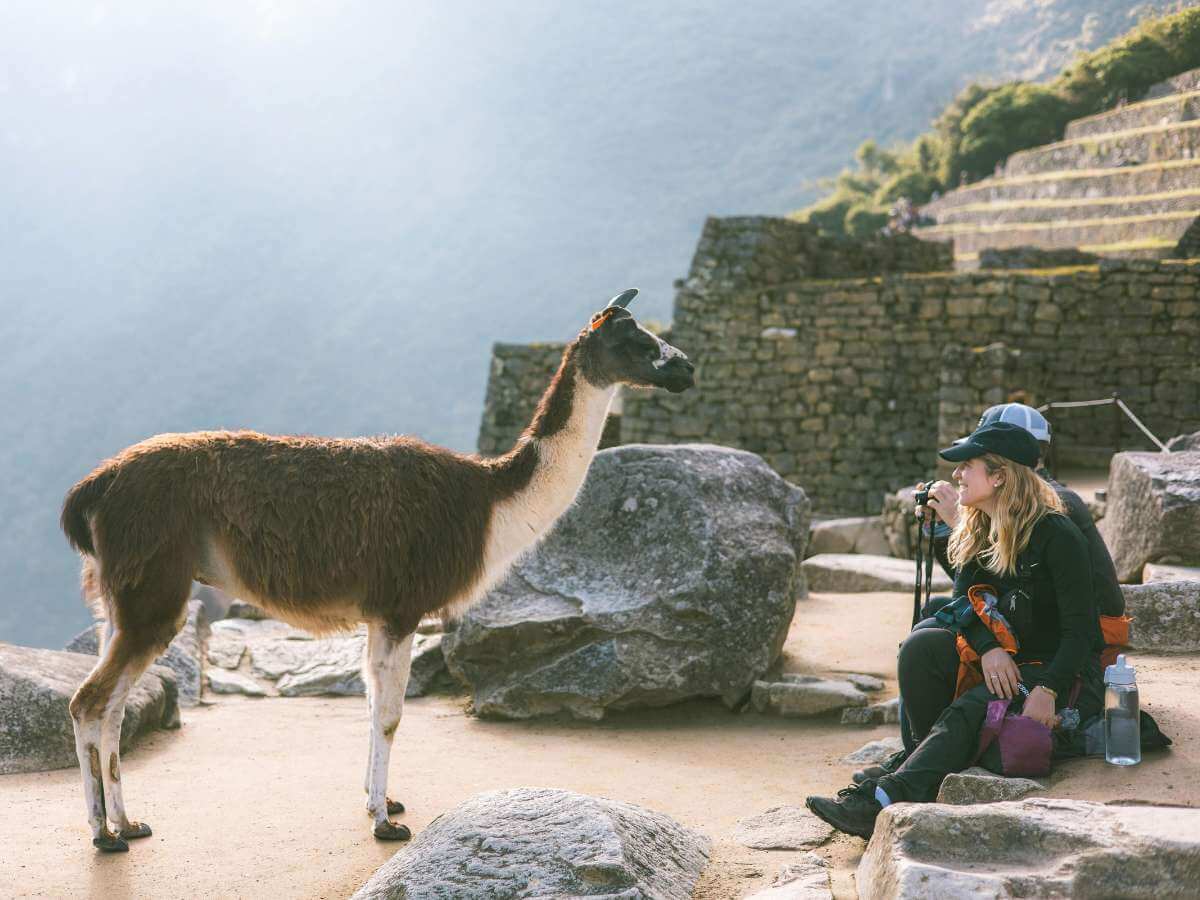 Machu Picchu turismo