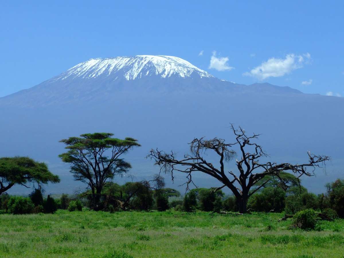 Kilimanjaro trekking