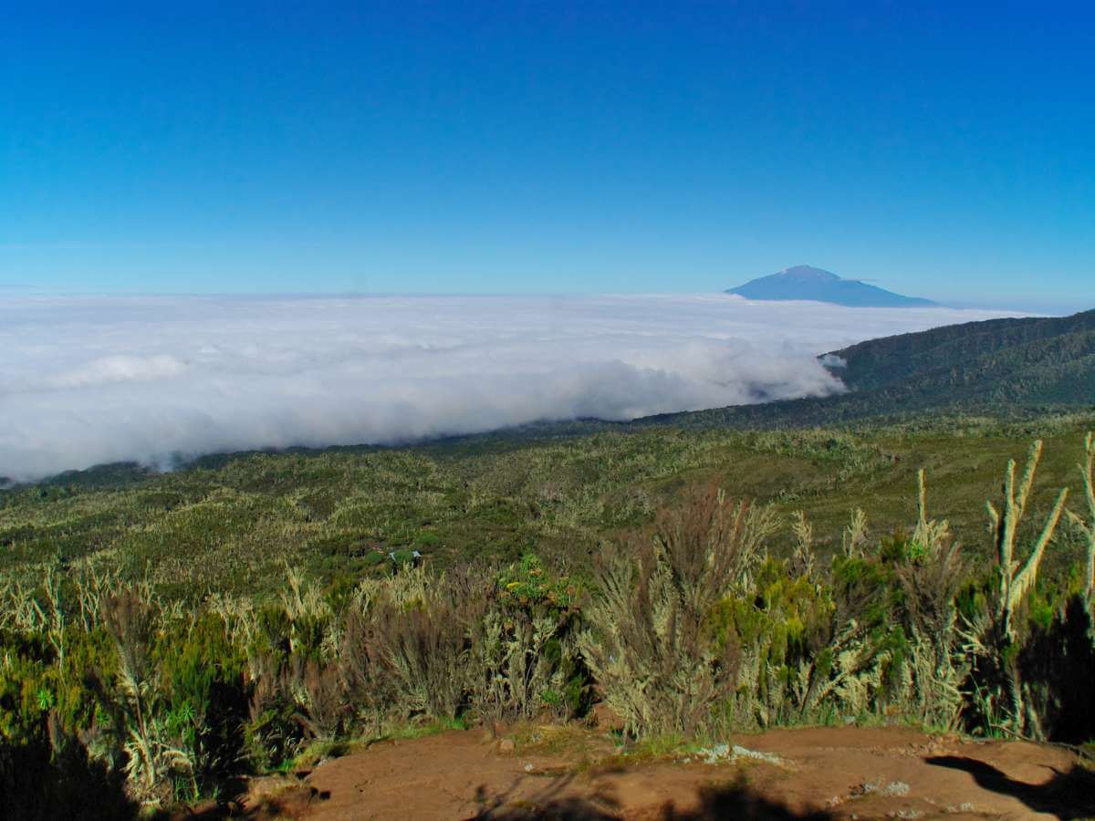 Kilimanjaro trekking