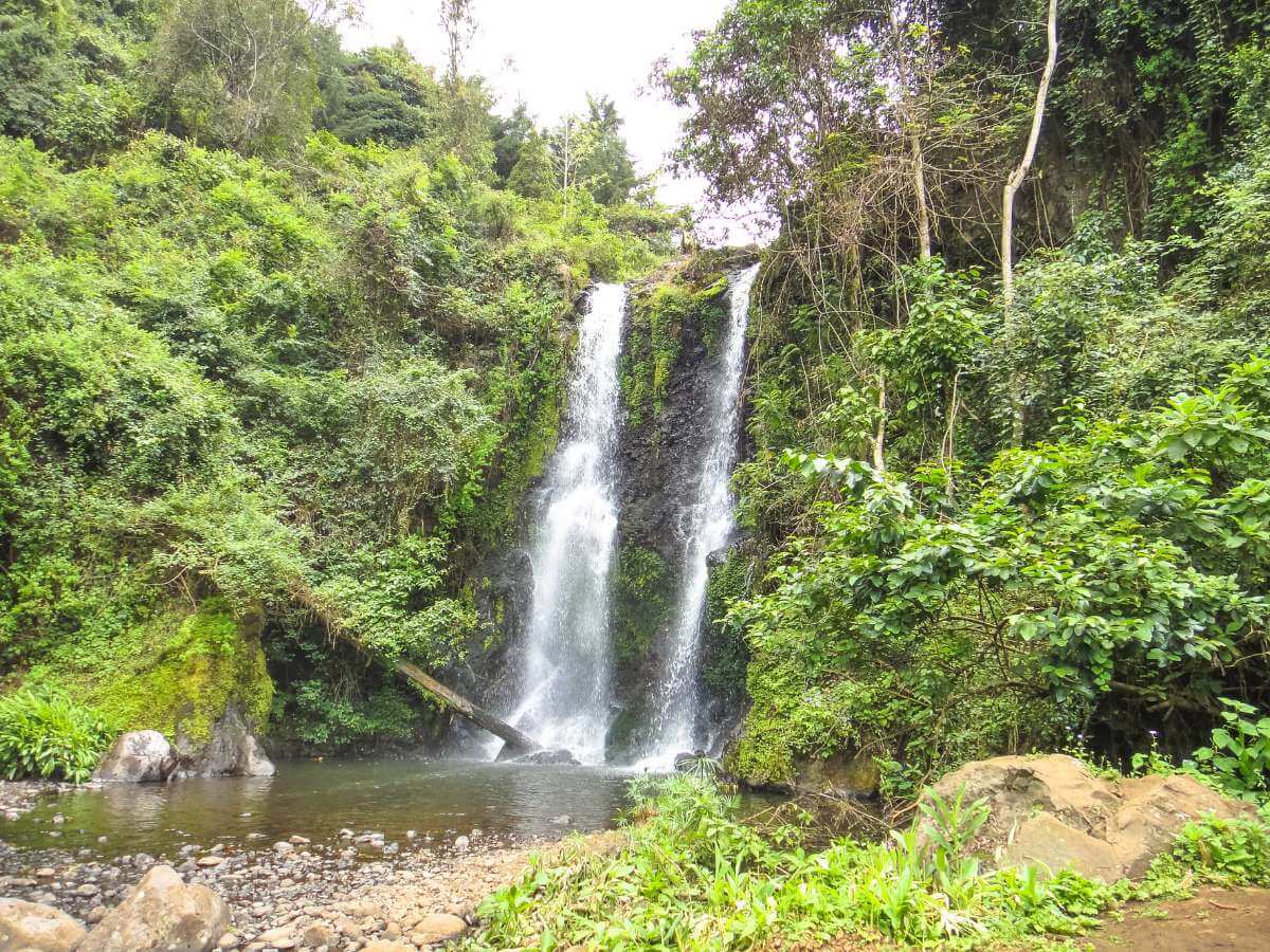 Kilimanjaro trekking