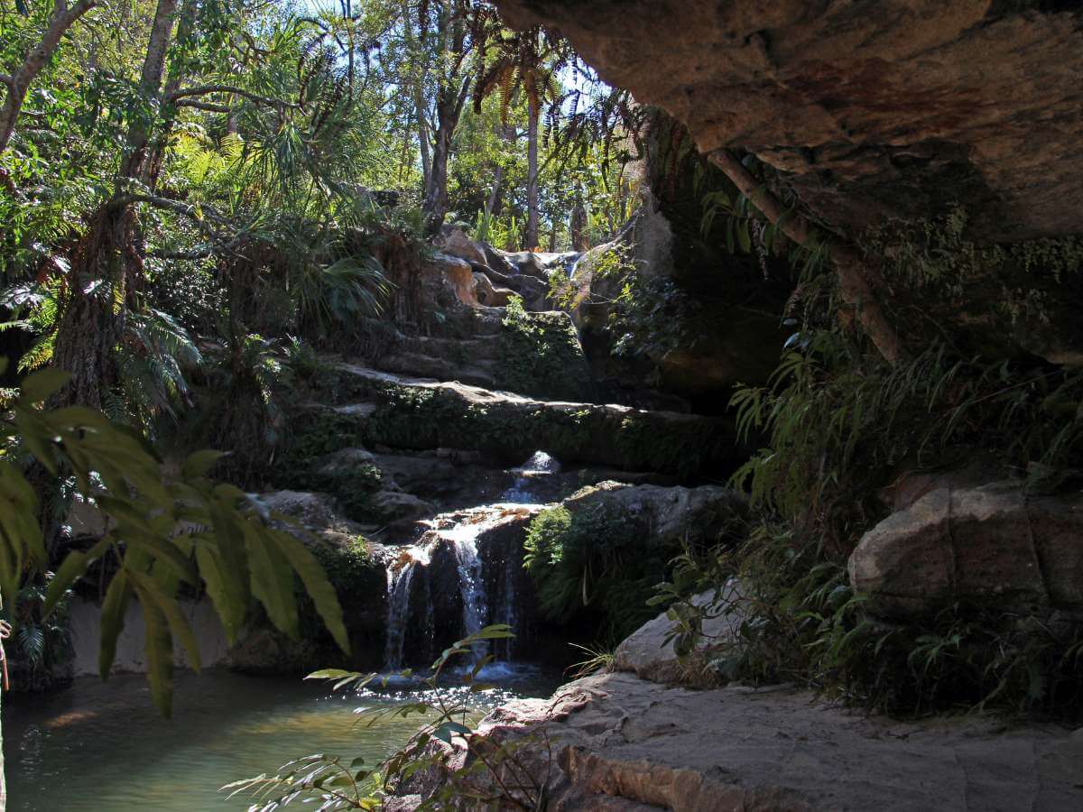 Madagascar naturaleza