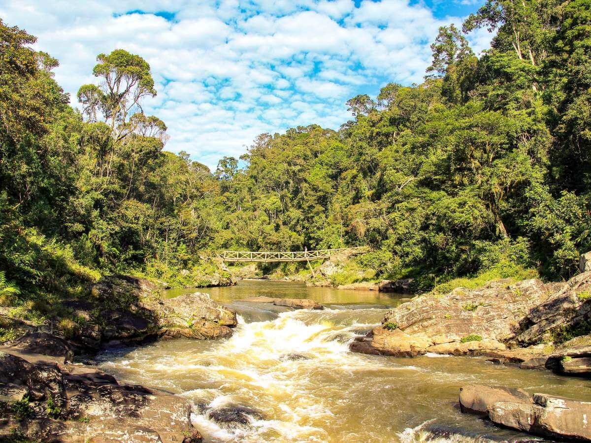 Madagascar naturaleza
