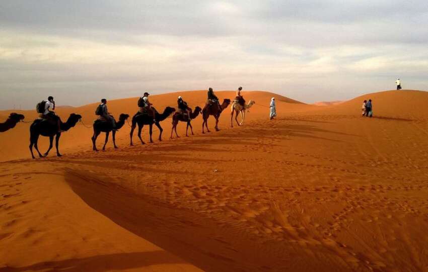 Sahara dunas desierto