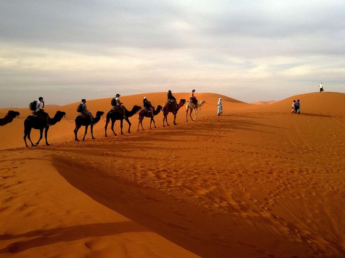 Sahara dunas desierto