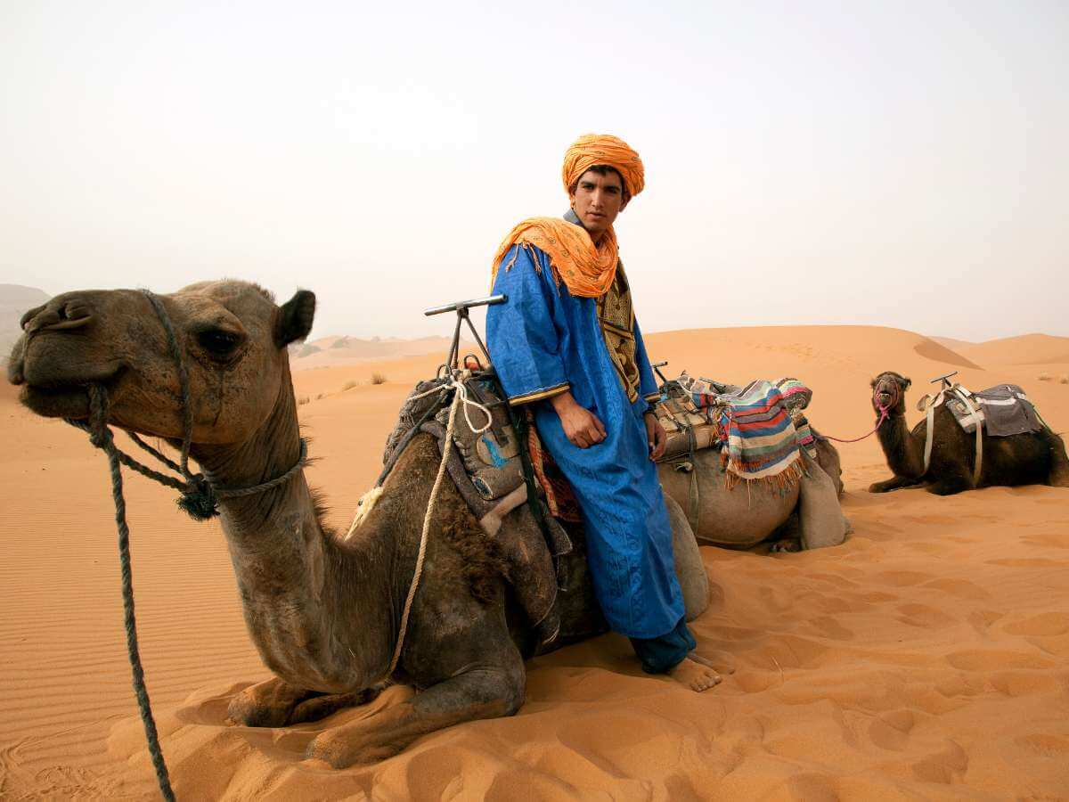 Sahara dunas desierto