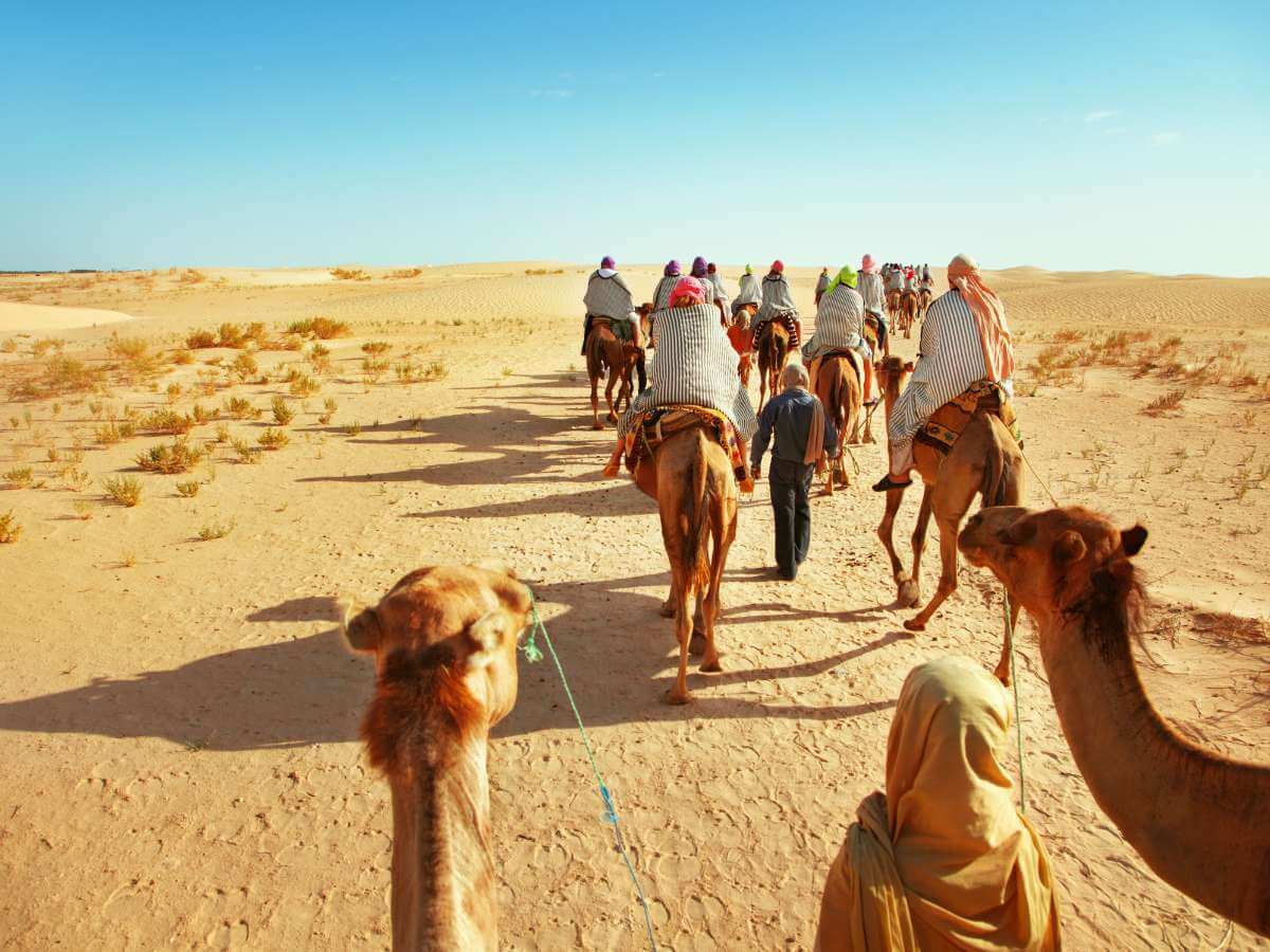 qué hacer en el desierto del Sahara