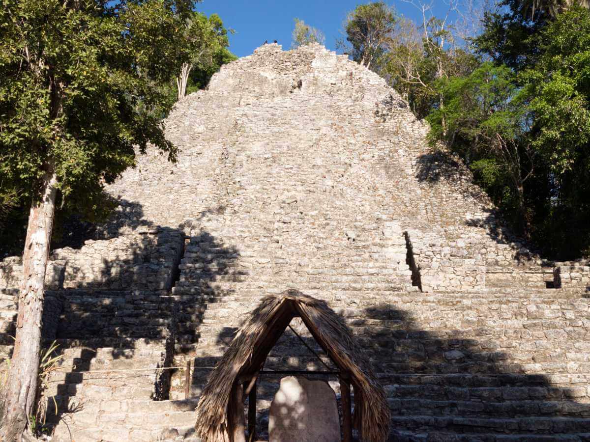 Cobá