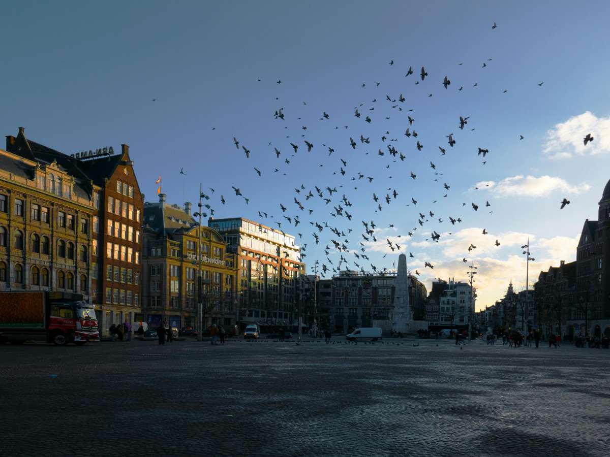 qué ver en Ámsterdam