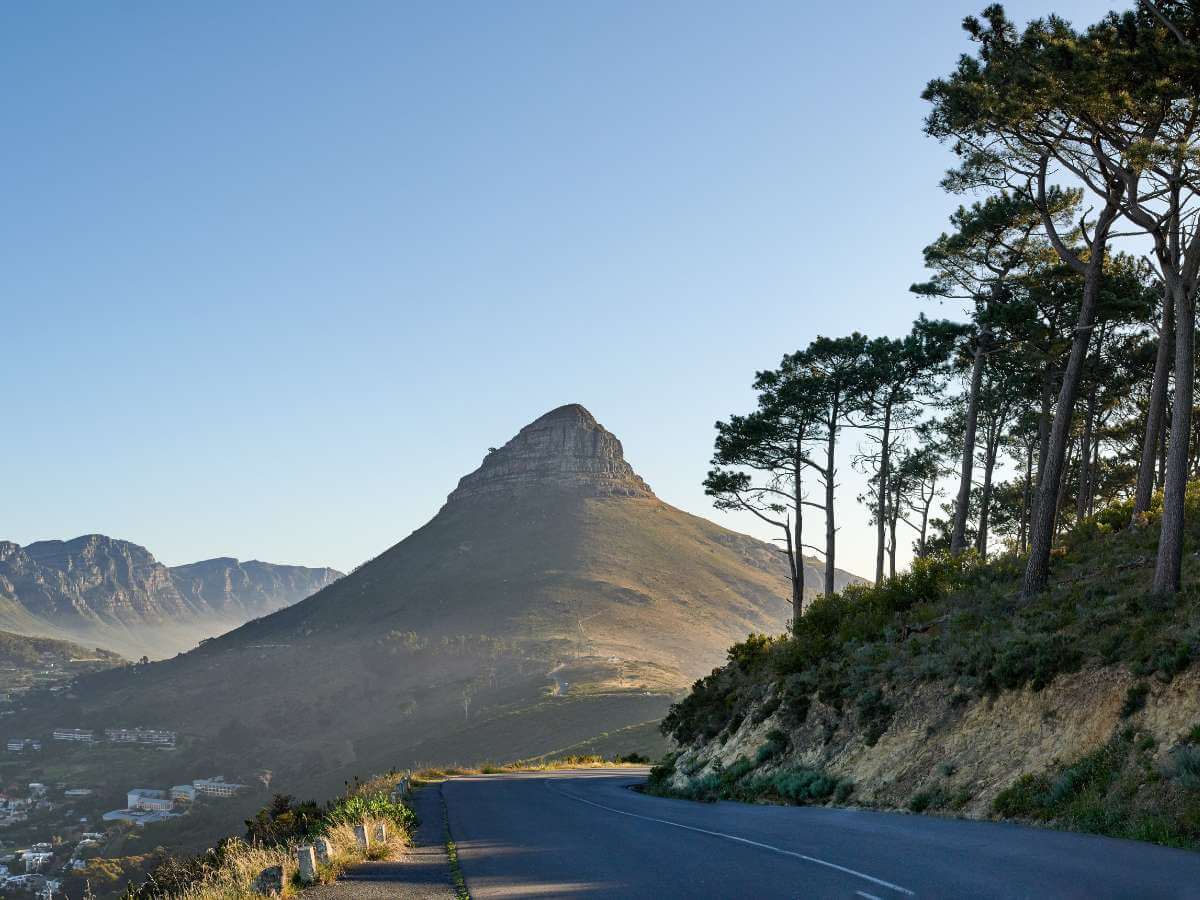 lions head