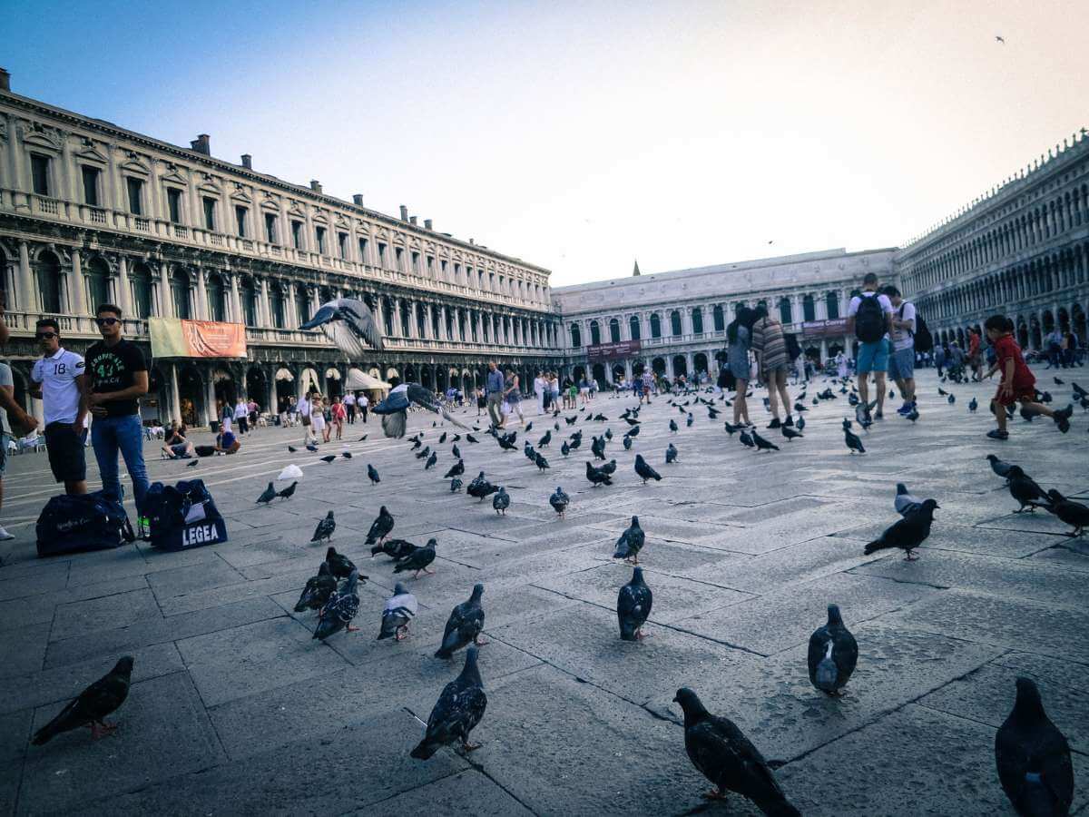 plaza de san marcos