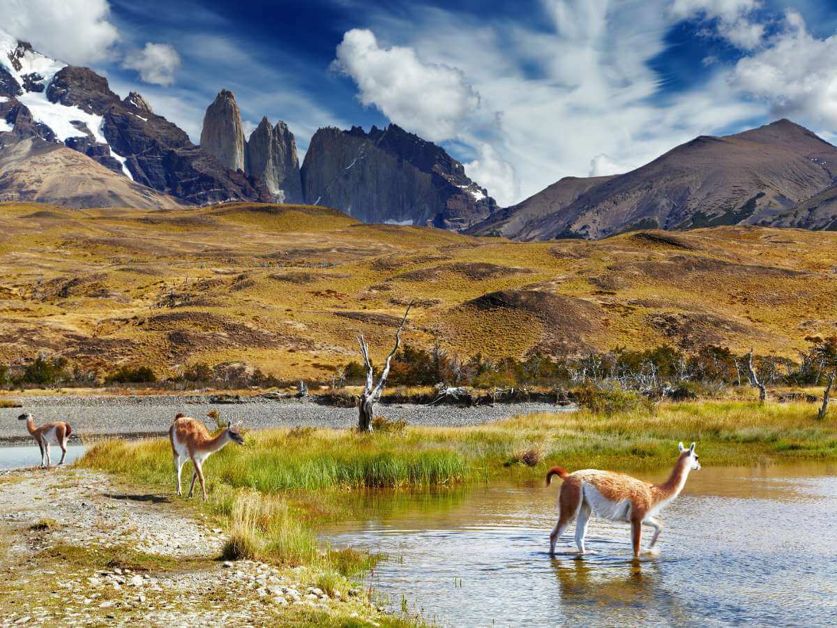 trekking en Patagonia