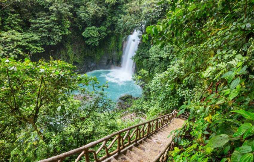 selva Costa Rica