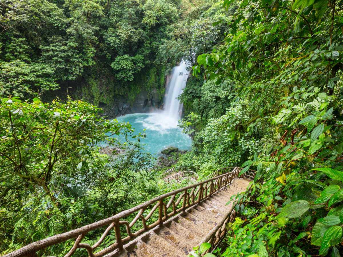 selva Costa Rica
