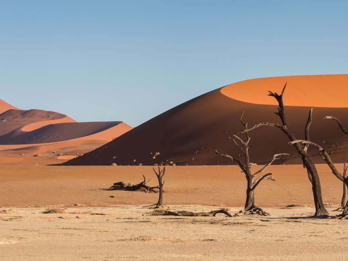 desierto Namibia dunas