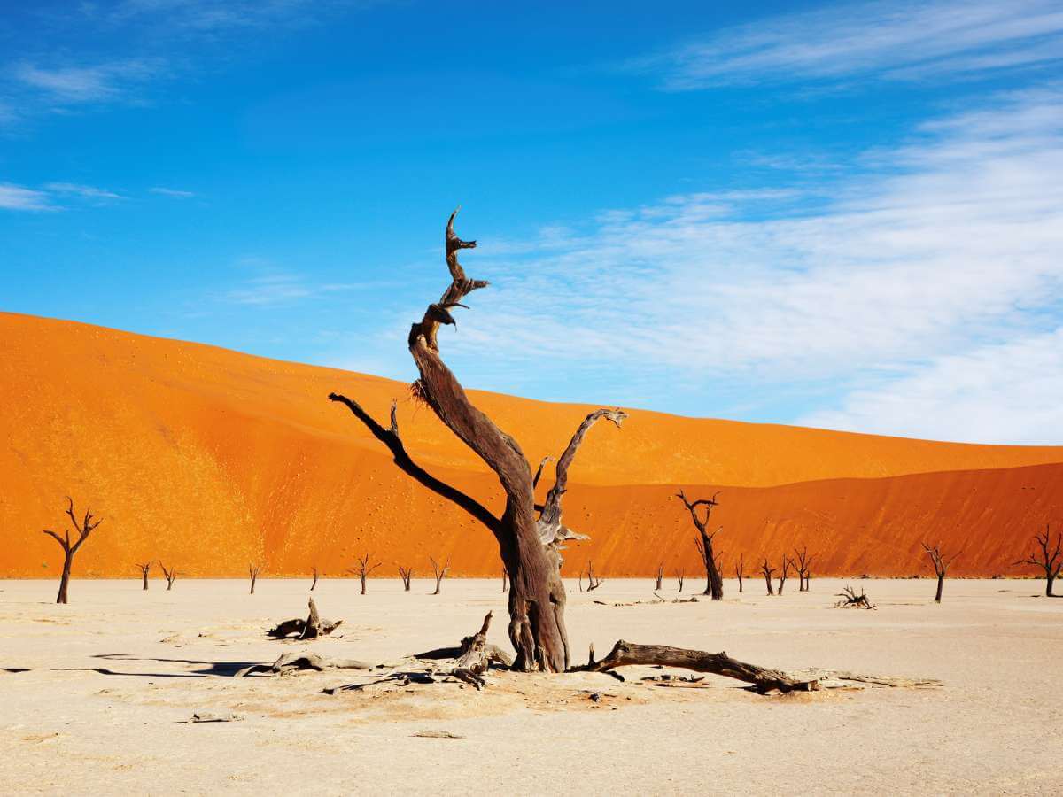 desierto Namibia dunas