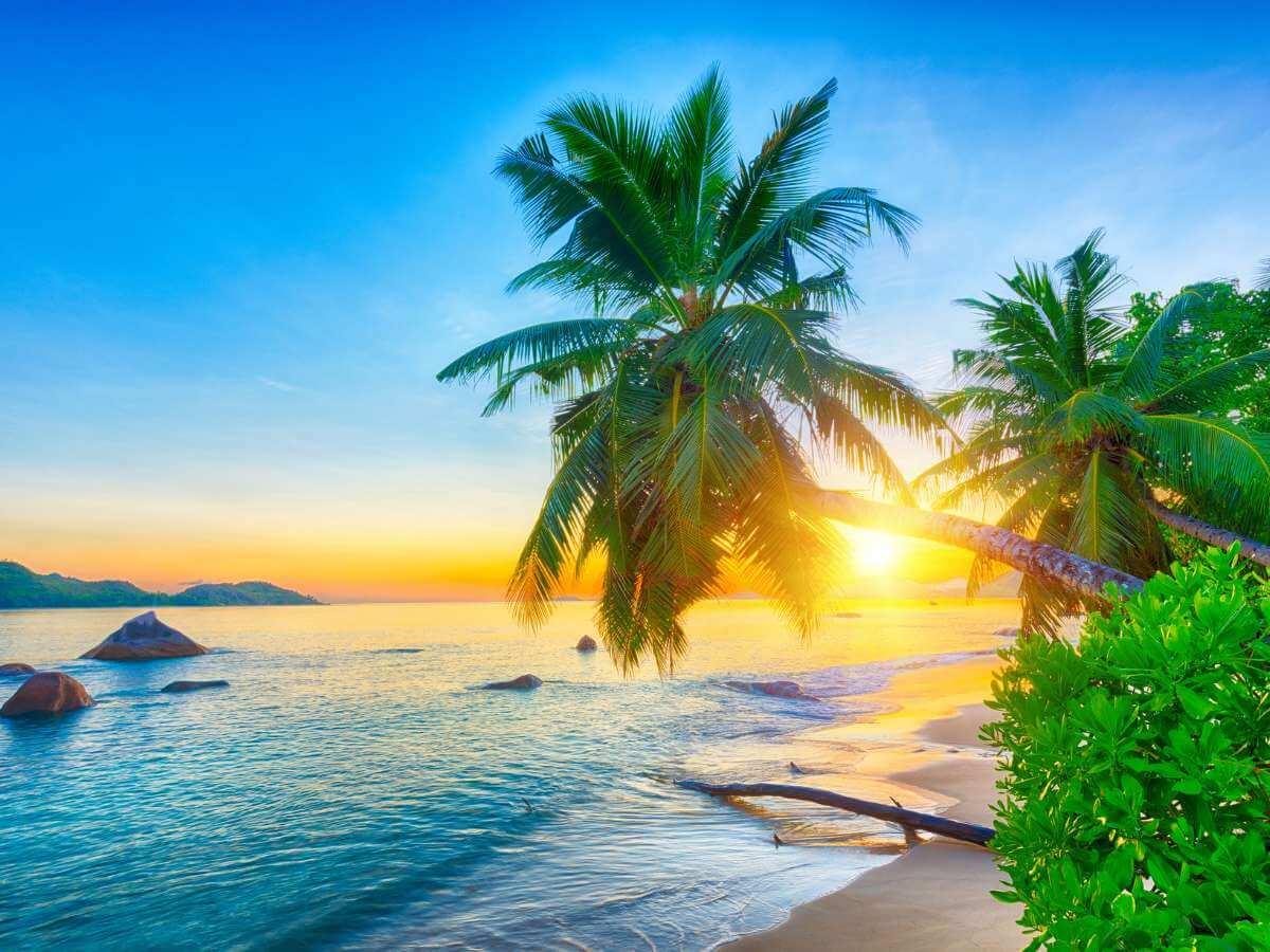 Seychelles playa tropical