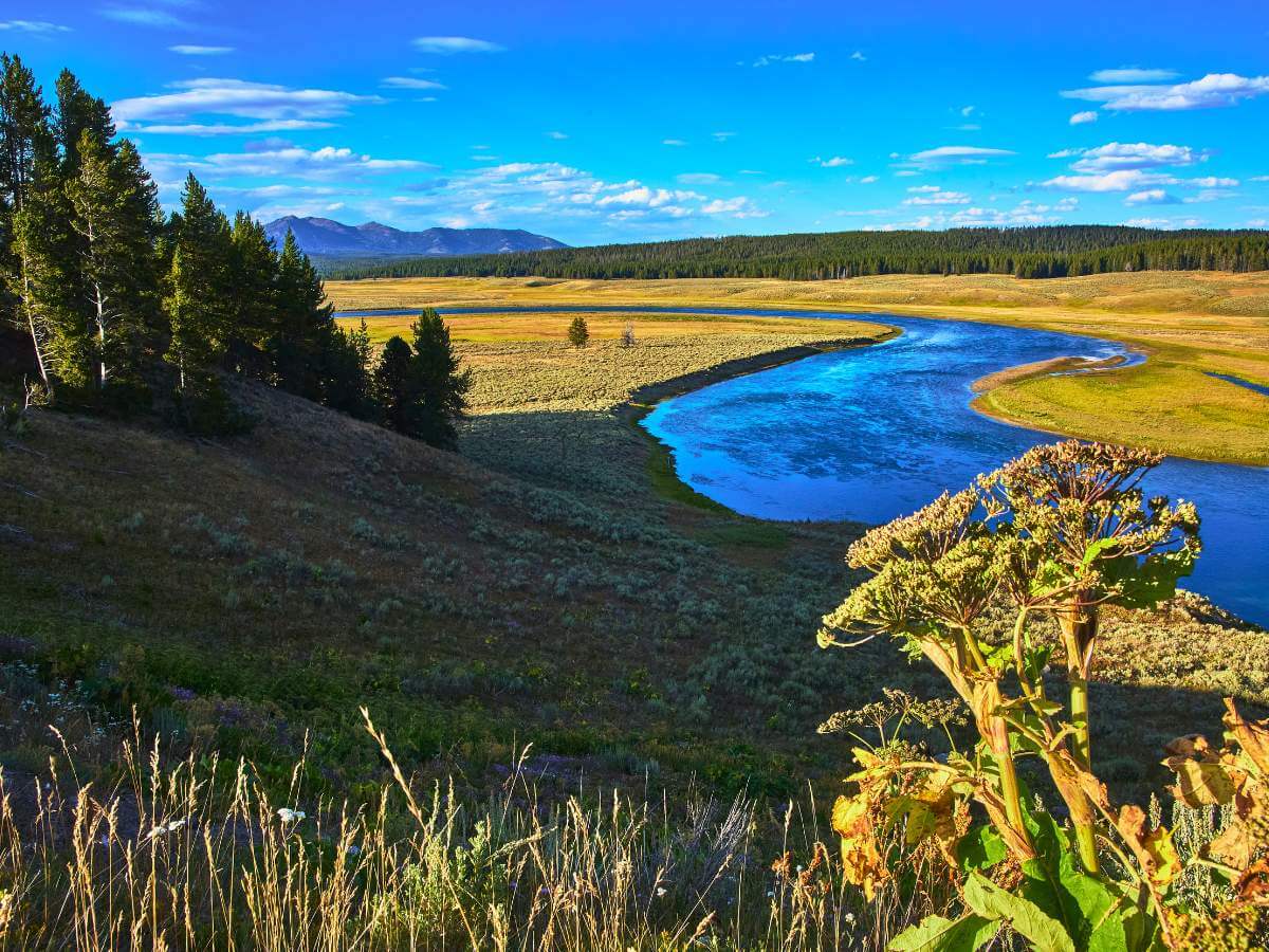 turismo en Yellowstone