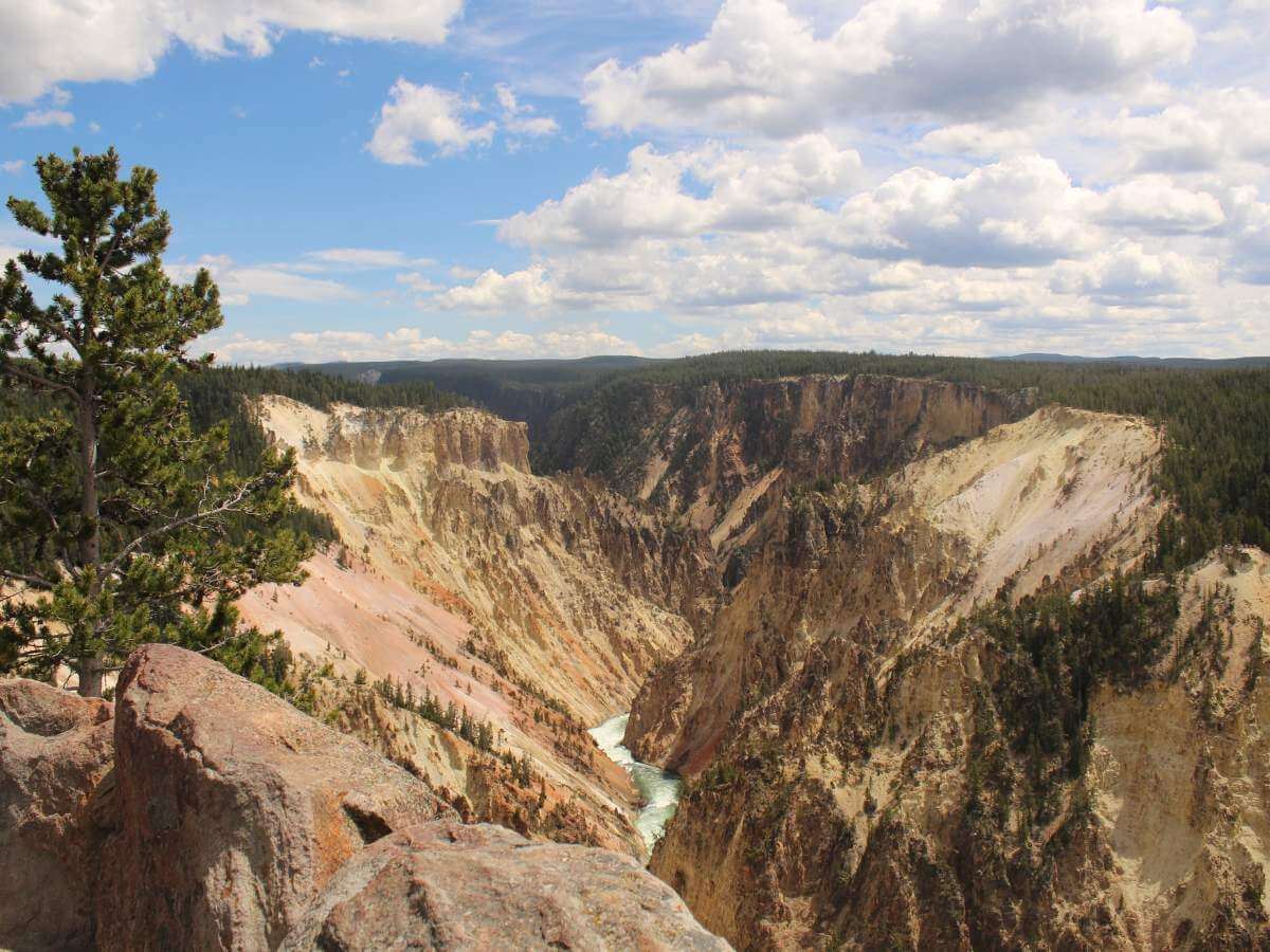 Grand Canyon of the Yellowstone