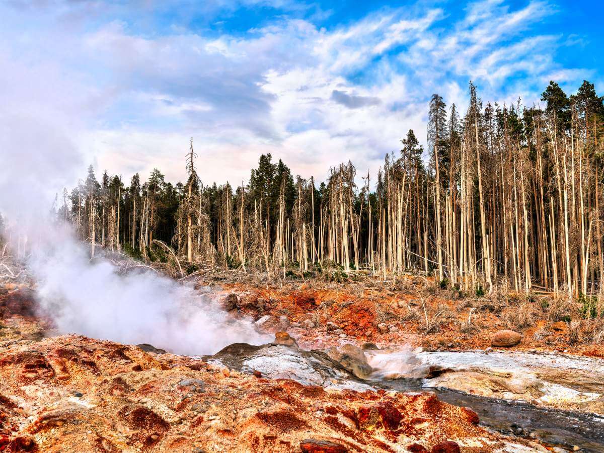 turismo en Yellowstone