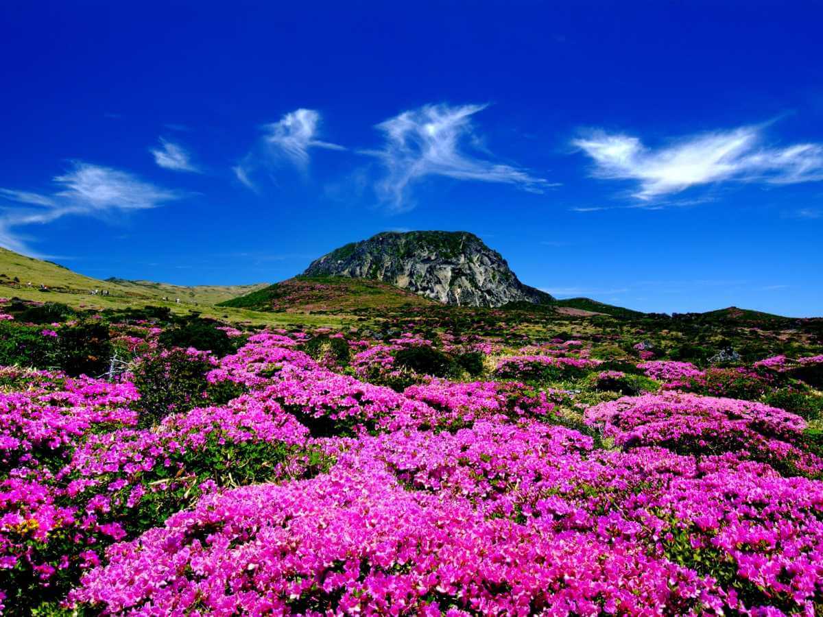 Hallasan National Park